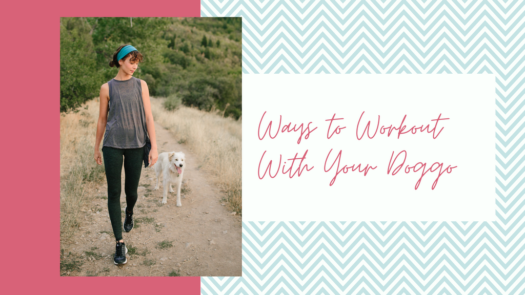 6 Workouts To Do With Your Dog